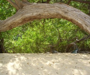 Tayrona National Natural Park (Source: Uff.Travel)